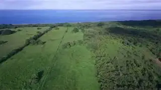 Panama Beachfront Development Land For Sale Near Pedasi