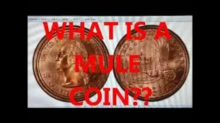 CHECK YOUR POCKET CHANGE FOR THESE RARE AND VALUABLE MULES