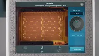 E-Gel Power Snap Plus How-To Series: Gel Live View