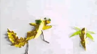 Compost art Stopmotion 3