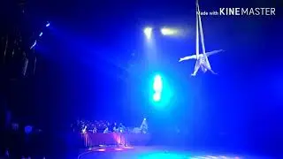Beautiful Graceful Elegant Aerial Net Solo Act By Regan