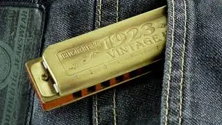 Take me home John Denver harmonica François lem