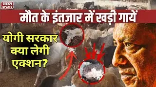 मौत के इंतजार में खड़ी गायें, योगी सरकार क्या लेगी एक्शन?| BharatUpdate