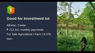 Good for Investment lot