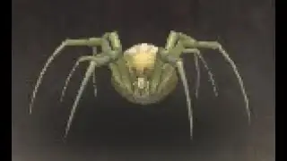 Eastern Kingdoms Safari: Forest Spiderling Battle Pet, The Cape of Stranglethorn, WoW Retail