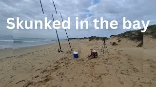 Skunned in the bay / Port Elizabeth