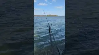 EXTERITY River Feeder 13