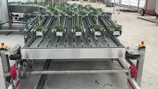 Internal transport system and Stone Wool Spacer in action