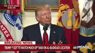 Trump Beautiful Dog