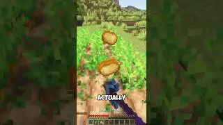 #minecraft fortune pickaxe + crops