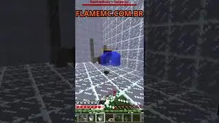 Jogue comigo: FLAMEMC.COM.BR  #viral #minecraft #hg