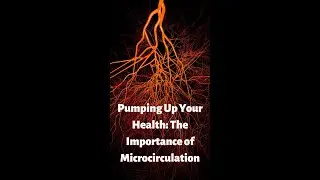 Pumping Up Your Health: The Importance of Microcirculation #shorts