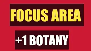 Focus area | +1 botany | sameerapp