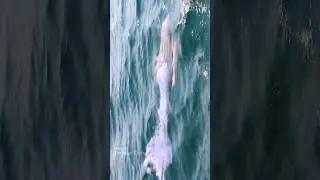 Mermaid swims quickly towards boat (Lake Michigan)