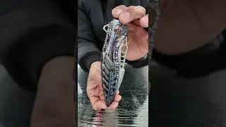 MASSIVE BADASS HAUL! (Rike & Ketuo)