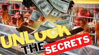 Do THIS (5 SECRETS) To Make Your Poultry Farming Business Profitable #poultrybusiness