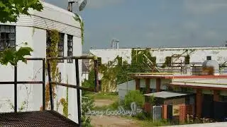 Central Unit: From Plantation to Prison Farm