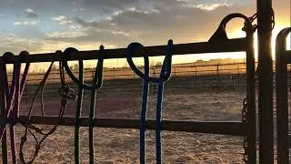 Colorado Springs Ranch Paddock Tour | Horse-Safe Design, Grazing Access & Stunning Colorado Views