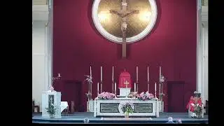 7:30am Mass, Thu 3 July 2025, Feast of St Thomas, Apostle