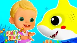 Baby Shark Song - Funny Bunny - Kids Songs and Play Australia Animation Compilation