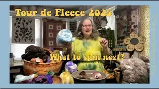Tour de Fleece 2025: Decisions, Decisions - What to spin next?