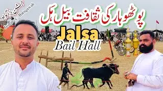 Pothwari and Kashmiri Saqafat Bail Hull | jashan E Baragawah | Explore Potohar