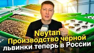 Neytan 2026: Запуск нового производства в России