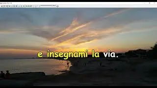 WS - Gli aironi neri