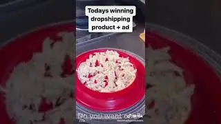 Today's winning dropshipping product + ads #shorts