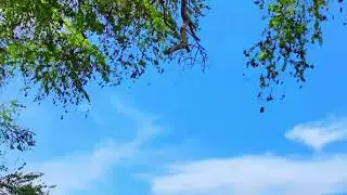 background langit biru // no audio