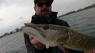 PLD Produktvorstellung MonkeyLures