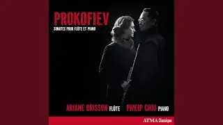 Sonata for Violin and Piano No. 1 in F Minor, Op. 80: III. Andante (Arr. for Flute and Piano by...