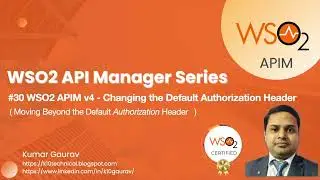 30. WSO2 APIM v4 &mdash; Изменение заголовка авторизации по умолчанию