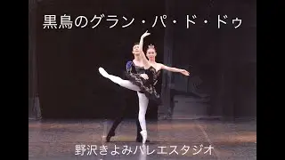 「白鳥の湖」第3幕よりー黒鳥のグラン・パ・ド・ドゥー　相模原市淵野辺のバレエ教室　野沢きよみバレエスタジオ