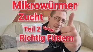 Mikrowürmer Züchten Teil 2 !!  [ Lebendfutter ] ( Panagrellus redivivus ) + Fütterung !!