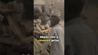 Abyei: Africa's Weirdest Border Dispute | Abyei Border Dispute Revealed