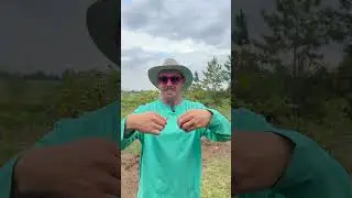 Why Are There Disgusting Bugs Inside?!