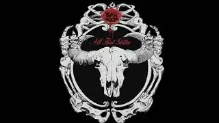 Them Bulls - All That Glitter Teaser