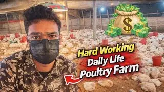 🔥How I Work in My Poultry Farm | Daily Broiler Farming Routine🐥