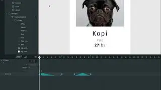 Haiku Animator Features