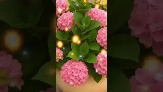 Ловите хорошее настроение &mdash; оно&nbsp;так редко посещает нас.&ldquo; &mdash;&nbsp; (Иоганн Вольфганг Гёте)#music