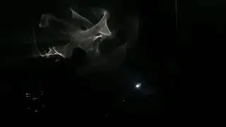 [UTC+3] Flowers Ghosts & Echoes