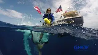 Ban the Florida Shark Fin Trade