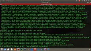 Install FreePBX in LXC