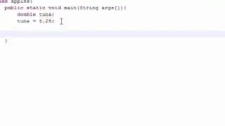 Java Programming Tutorial 5 Variables