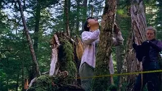 Stanford students explore Alaska's Tongass National Forest