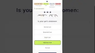 How To Monitor Your Pet's Feeding w/ The Pawsync App
