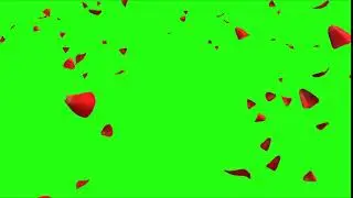 Rose Petals greenscreen