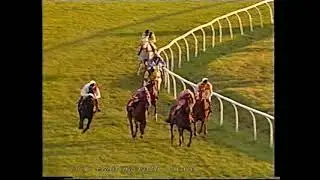 1995 Fighting Fifth Hurdle Padre Mio Inc Replay
