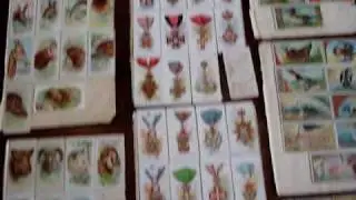 19th century non sports card find